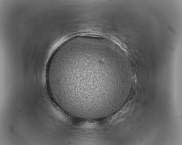 X0000112070248200908111439