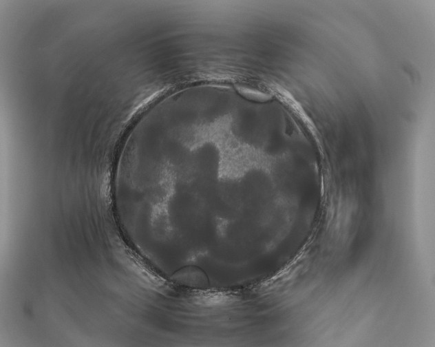 X0000112070249200908111439