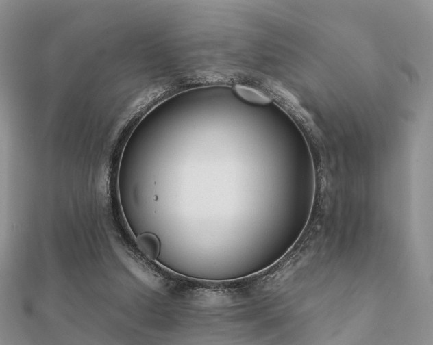 X0000112070250200908111439