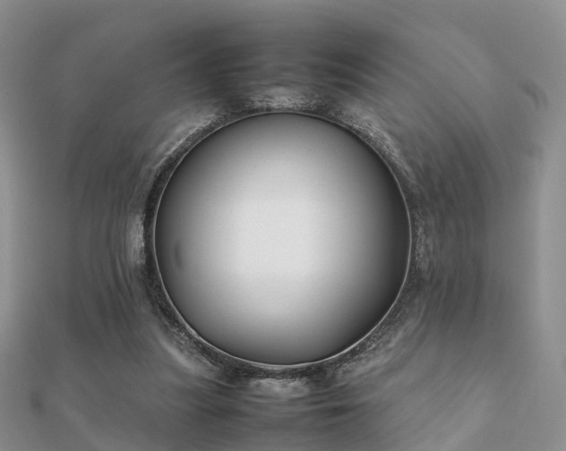 X0000112070251200908111439