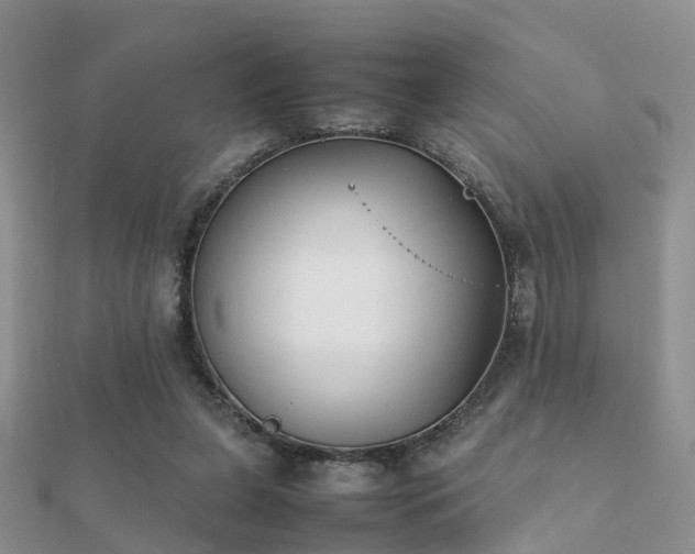 X0000112070255200908111439