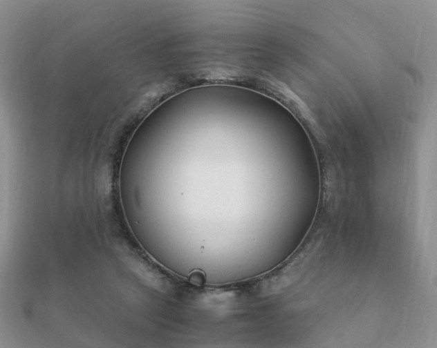 X0000112070257200908111439