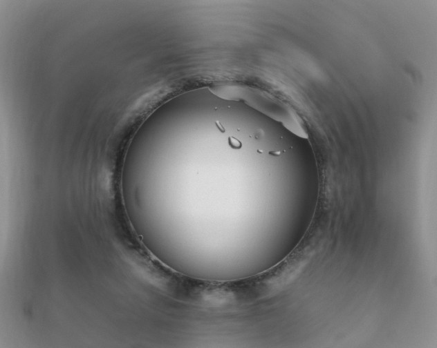 X0000112070258200908111439