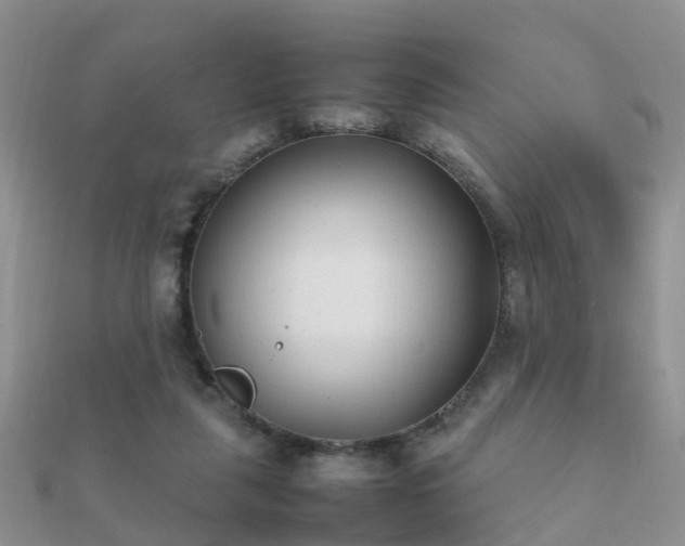 X0000112070259200908111439