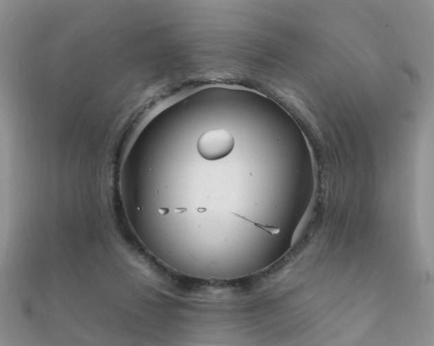 X0000112070260200908111439