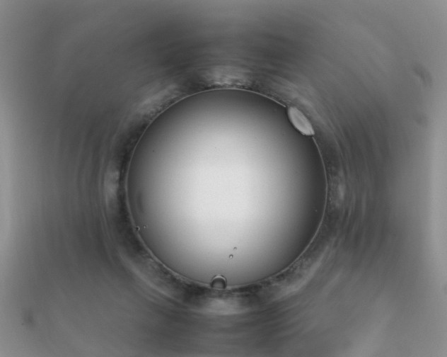 X0000112070263200908111440