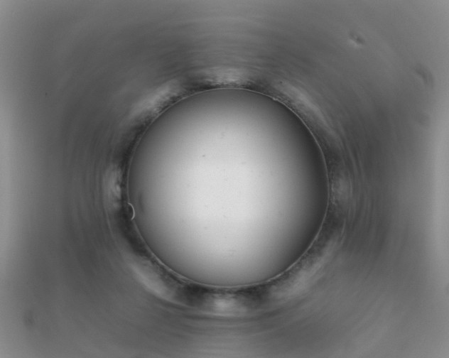 X0000112070264200908111440