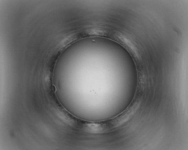 X0000112070265200908111440