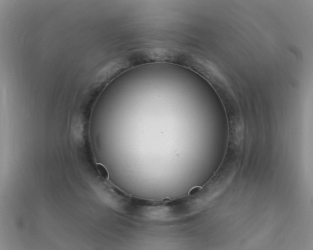 X0000112070266200908111440