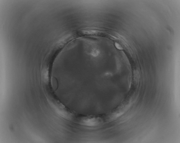 X0000112070267200908111440