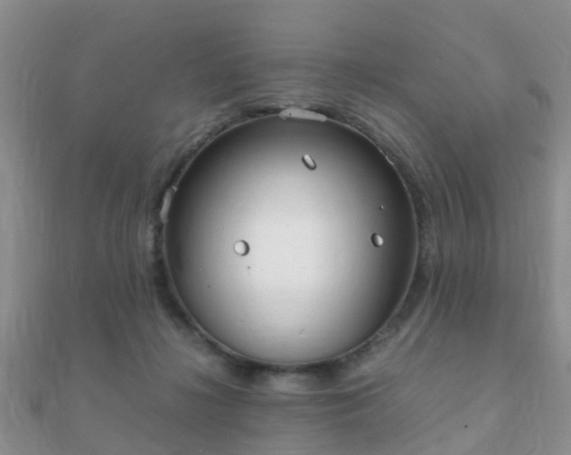 X0000112070268200908111440