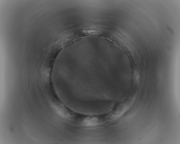 X0000112070271200908111440