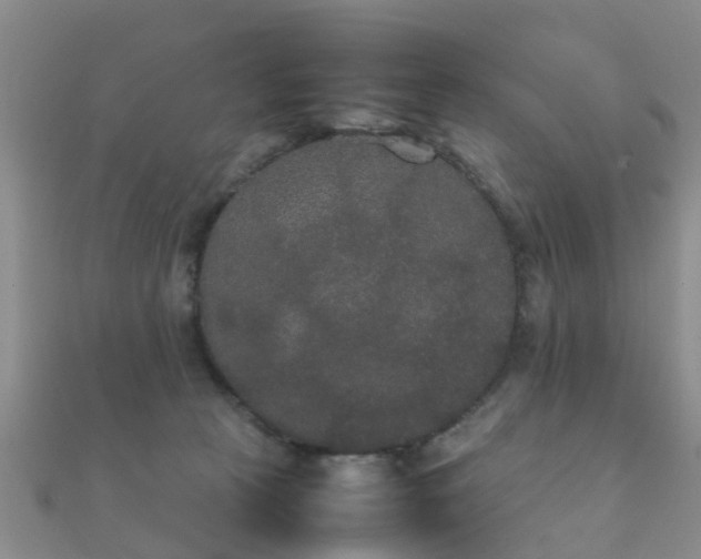 X0000112070273200908111440