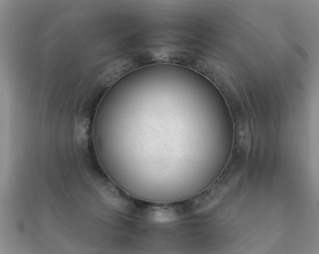 X0000112070275200908111440