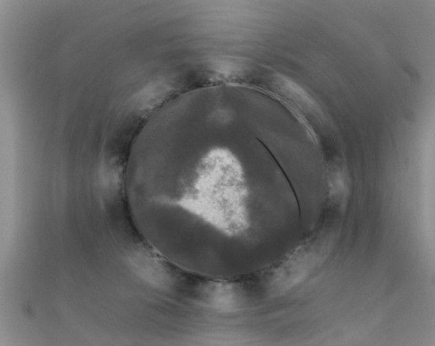 X0000112070276200908111440