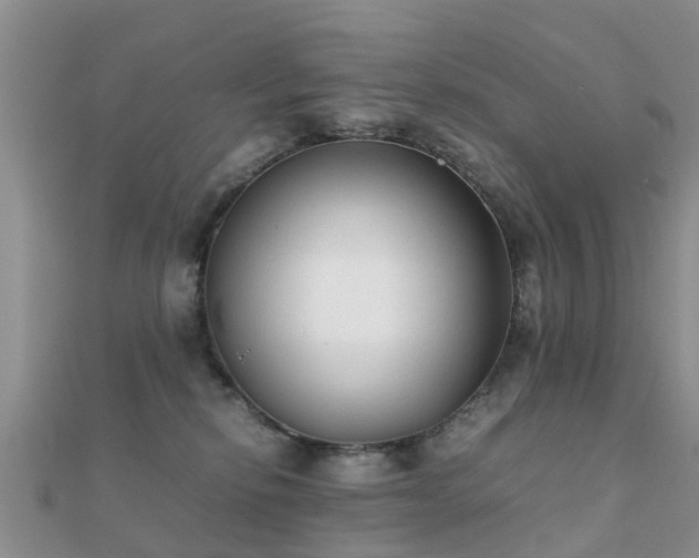 X0000112070278200908111440