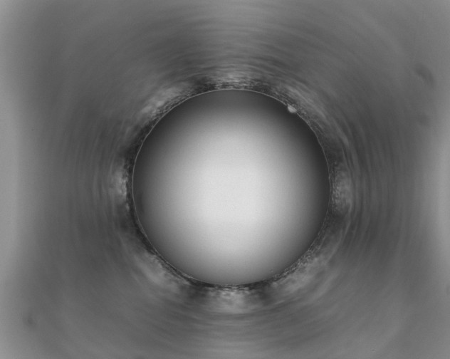 X0000112070282200908111440