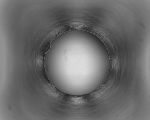 X0000112070283200908111440