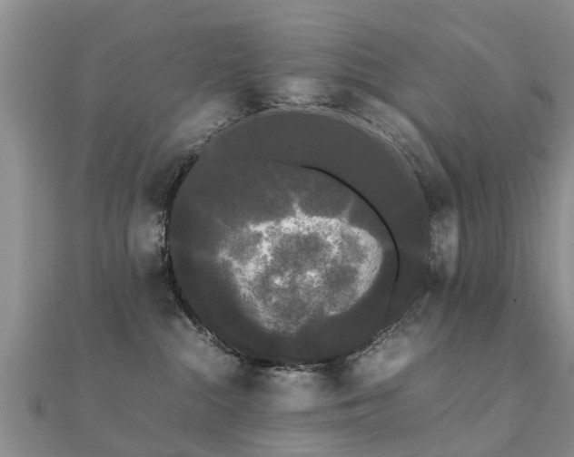 X0000112070284200908111440