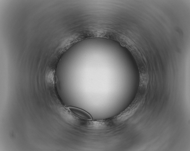 X0000112070286200908111440