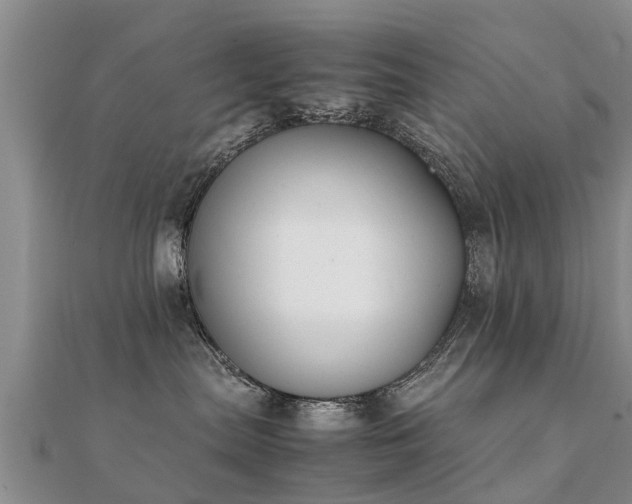 X0000112070287200908111440