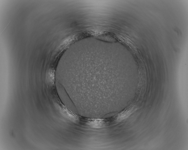 X0000112070288200908111440