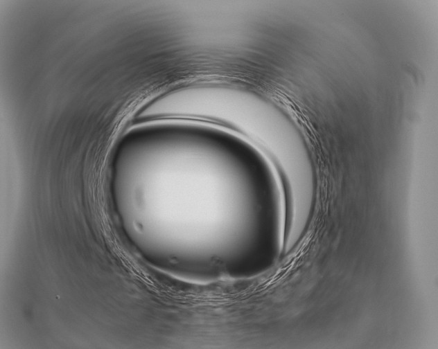 X0000112070289200908111439