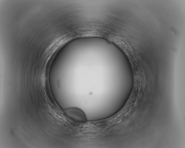 X0000112070290200908111439