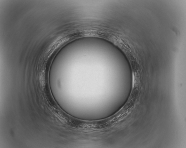 X0000112070291200908111439