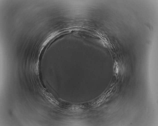 X0000112070292200908111439