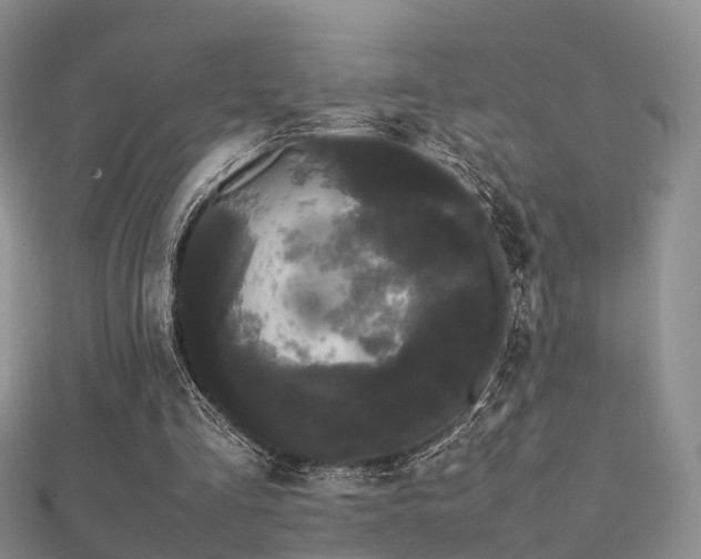 X0000112070293200908111439