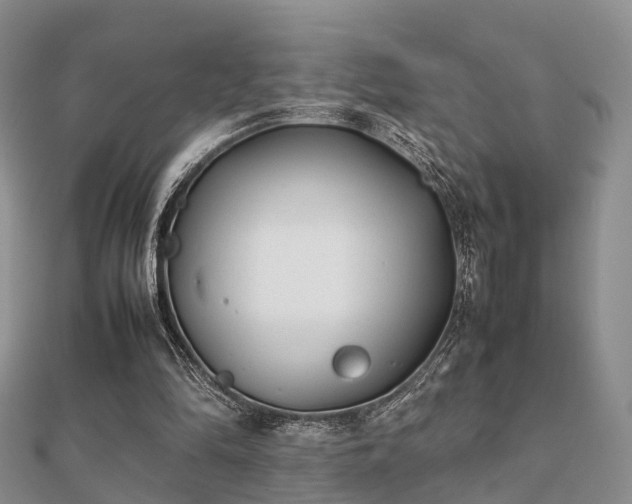 X0000112070294200908111439