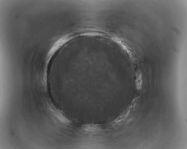 X0000112070296200908111439