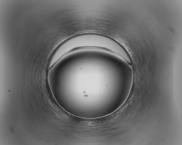 X0000112070297200908111439