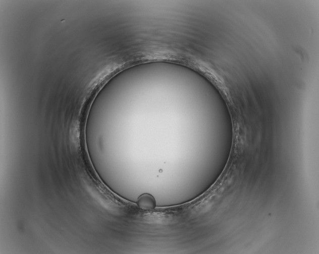 X0000112070298200908111439