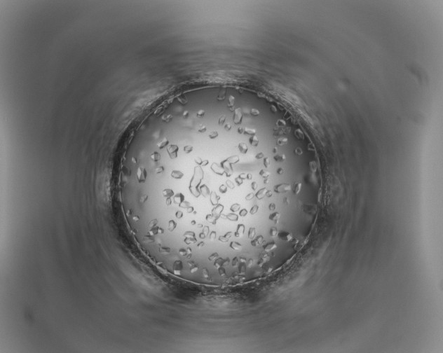 X0000112070299200908111439