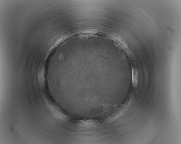 X0000112070300200908111439