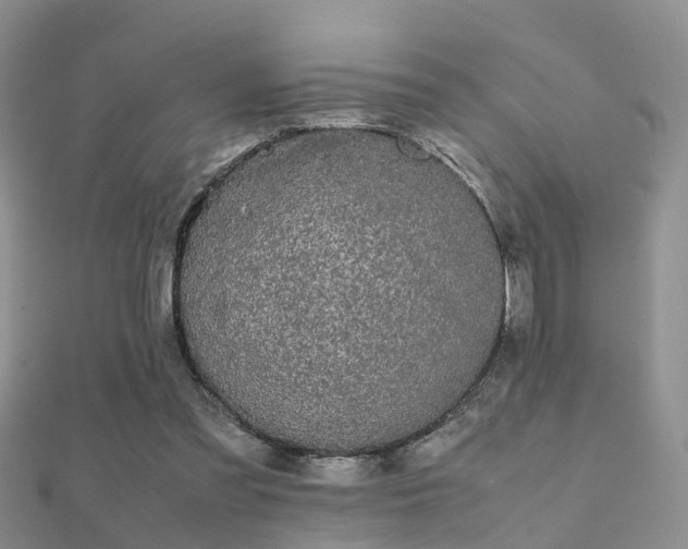 X0000112070301200908111439