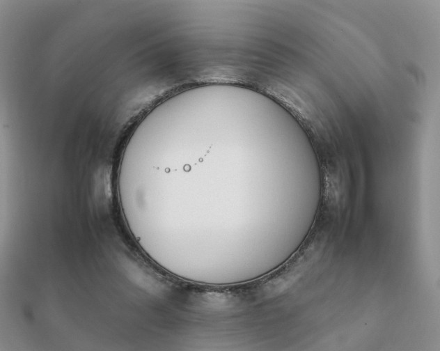 X0000112070302200908111439