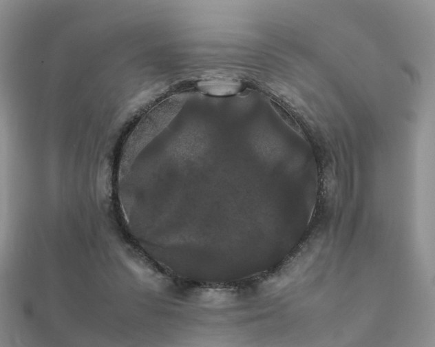 X0000112070303200908111439