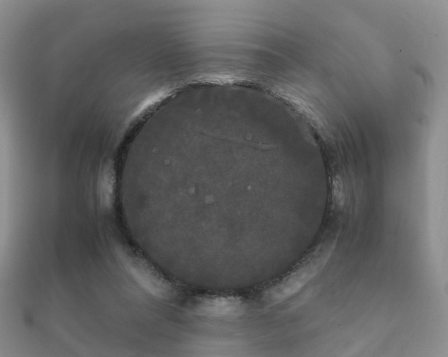 X0000112070304200908111439
