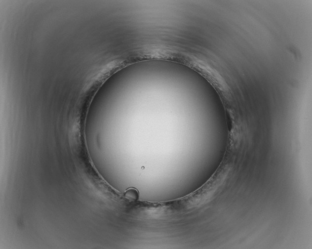 X0000112070306200908111439