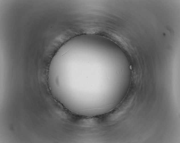 X0000112070307200908111439