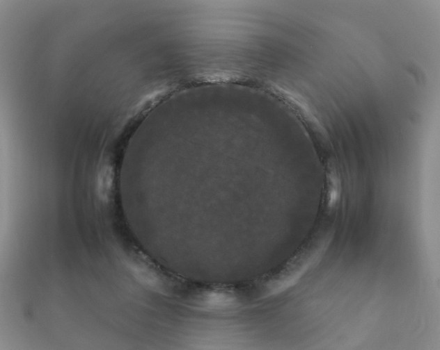 X0000112070308200908111439