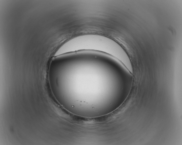 X0000112070309200908111439