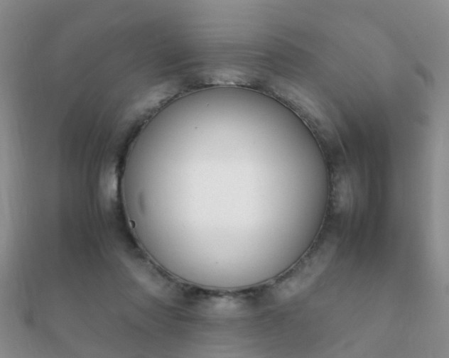 X0000112070310200908111439