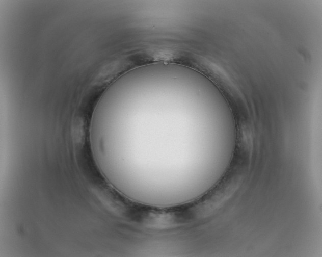 X0000112070311200908111439