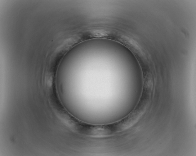 X0000112070315200908111439