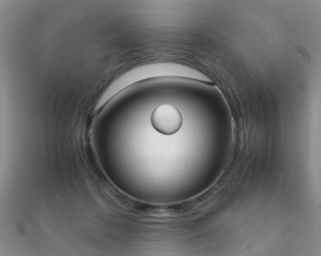 X0000112070316200908111439