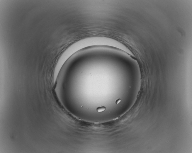 X0000112070317200908111439